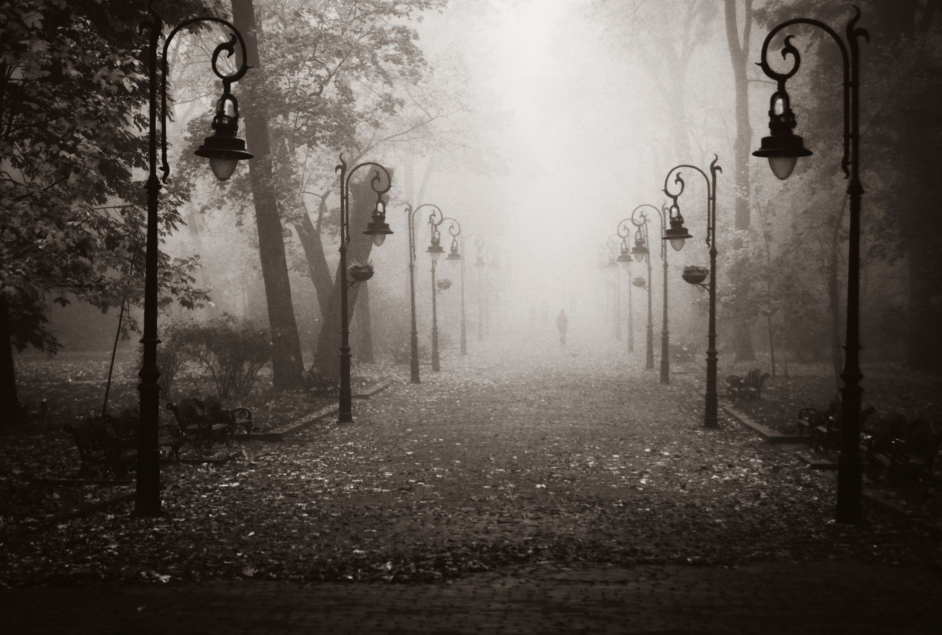 The Week the Clocks Change and My Body Refuses to Follow - seasons & energy