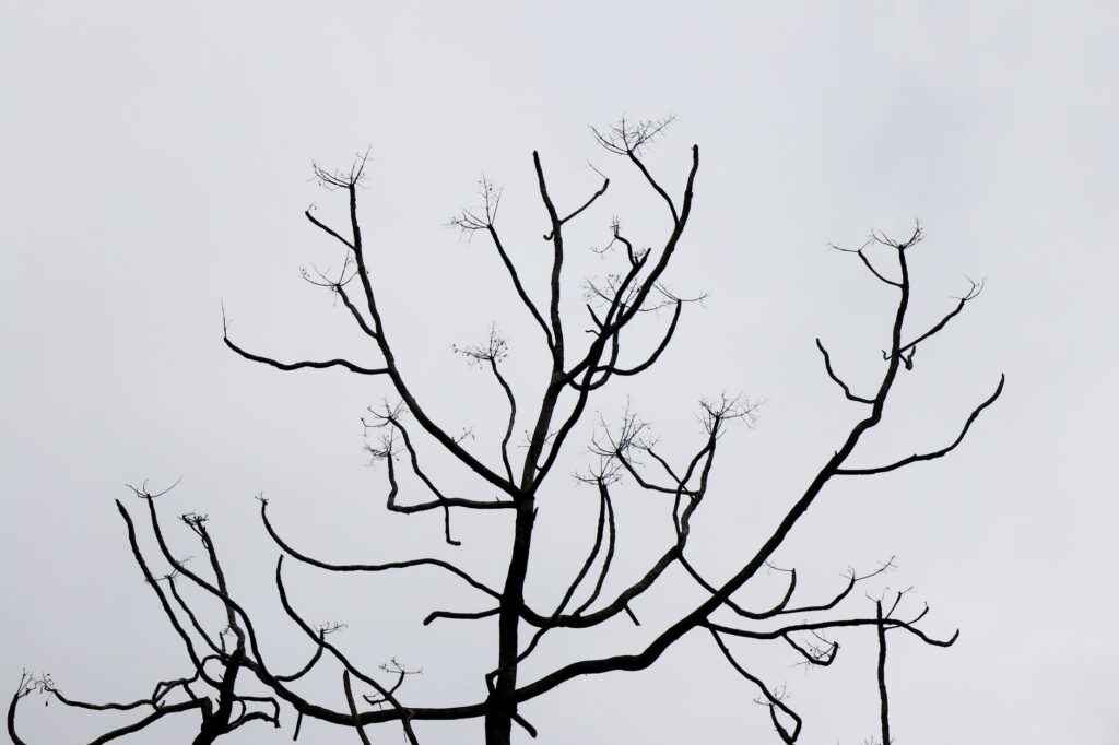 The Three Days Between Seasons When Nothing Feels Right - seasons & energy