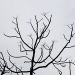 The Three Days Between Seasons When Nothing Feels Right - seasons & energy