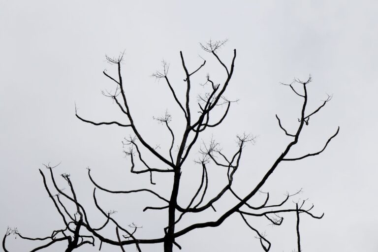 The Three Days Between Seasons When Nothing Feels Right - seasons & energy