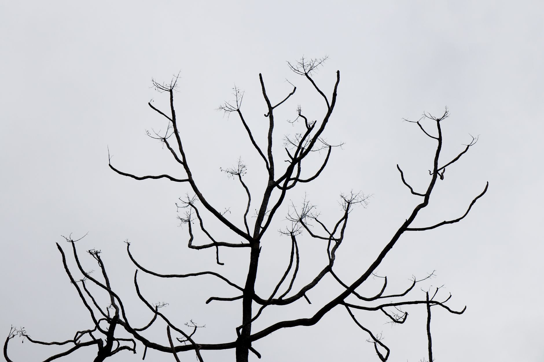 The Three Days Between Seasons When Nothing Feels Right - seasons & energy